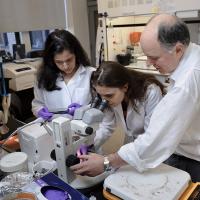 Medical professionals using equipment together.